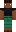 skin of a player