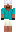 skin of a player