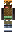 skin of a player