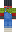 skin of a player
