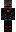 skin of a player