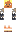 skin of a player