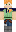 skin of a player