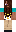skin of a player