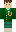 skin of a player