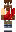 skin of a player