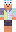 skin of a player