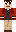 skin of a player