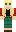 skin of a player