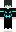 skin of a player