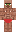 skin of a player