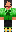 skin of a player