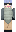 skin of a player