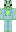 skin of a player