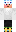 skin of a player