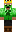 skin of a player