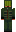 skin of a player