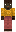 skin of a player