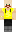 skin of a player