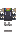 skin of a player
