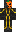 skin of a player