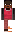 skin of a player