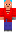 skin of a player