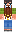 skin of a player