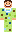 skin of a player