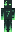 skin of a player
