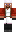 skin of a player
