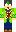 skin of a player