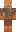 skin of a player