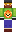 skin of a player