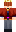 skin of a player