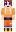 skin of a player