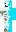 skin of a player