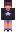 skin of a player