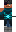 skin of a player