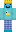 skin of a player
