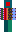 skin of a player