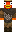 skin of a player