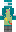 skin of a player