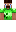 skin of a player