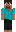 skin of a player