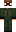 skin of a player