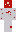 skin of a player