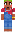skin of a player