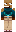 skin of a player