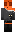 skin of a player